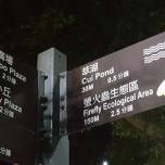 Fireflies reintroduced to Rongxing Park